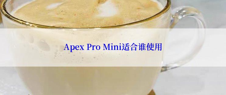 Apex Pro Mini适合谁使用