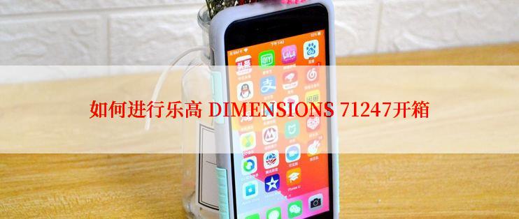 如何进行乐高 DIMENSIONS 71247开箱