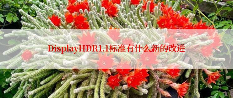 DisplayHDR1.1标准有什么新的改进