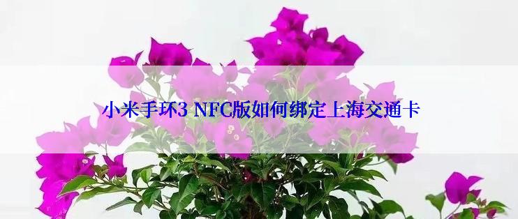  小米手环3 NFC版如何绑定上海交通卡