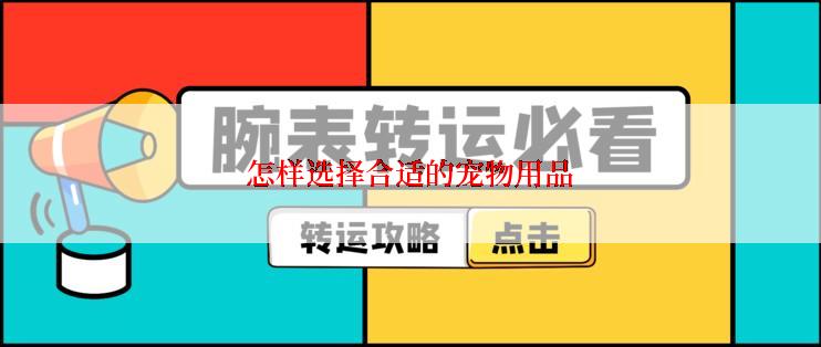 怎样选择合适的宠物用品