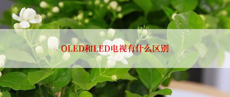 OLED和LED电视有什么区别