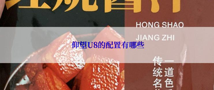  仰望U8的配置有哪些