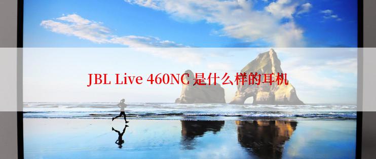 JBL Live 460NC 是什么样的耳机