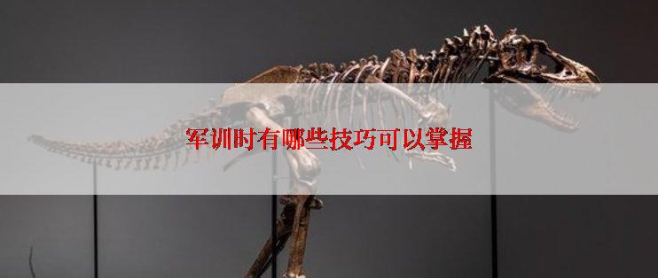 军训时有哪些技巧可以掌握