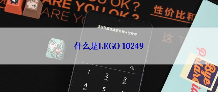 什么是LEGO 10249