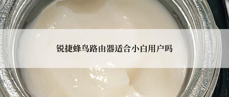 锐捷蜂鸟路由器适合小白用户吗