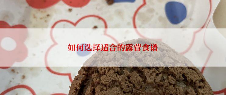 如何选择适合的露营食谱