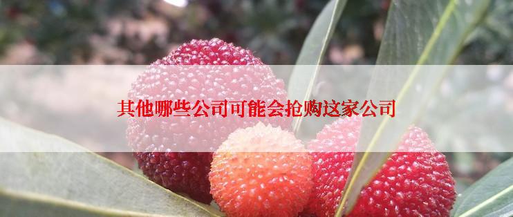 其他哪些公司可能会抢购这家公司