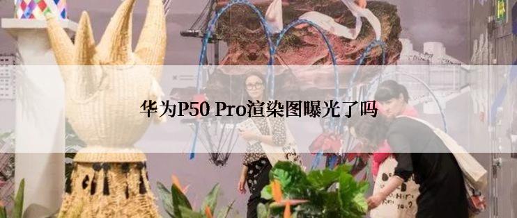 华为P50 Pro渲染图曝光了吗