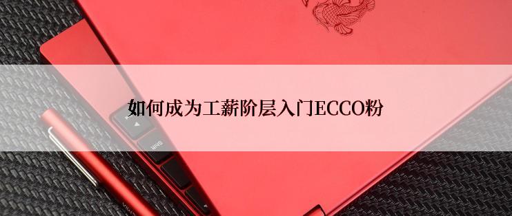 如何成为工薪阶层入门ECCO粉