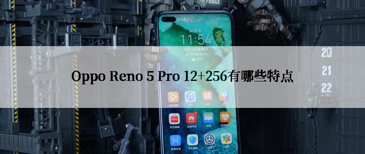 Oppo Reno 5 Pro 12+256有哪些特点