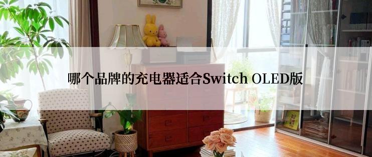 哪个品牌的充电器适合Switch OLED版