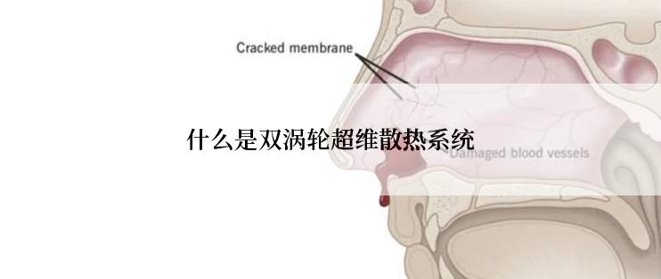 什么是双涡轮超维散热系统