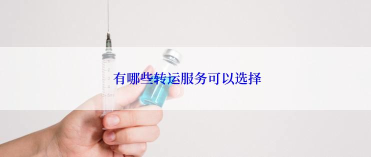  有哪些转运服务可以选择