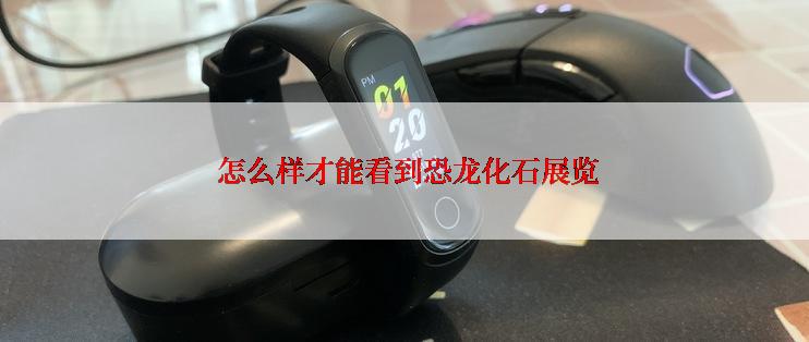  怎么样才能看到恐龙化石展览