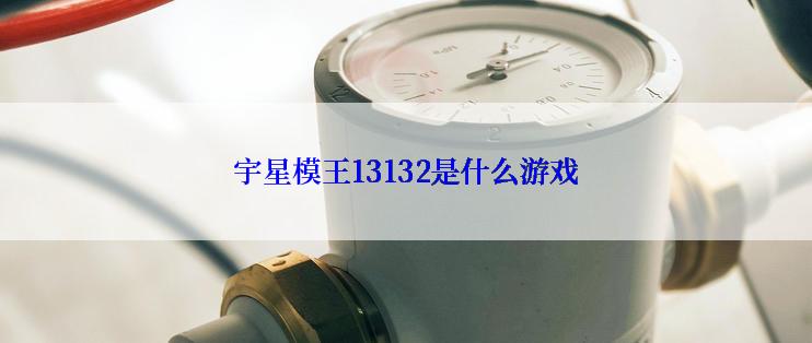 宇星模王13132是什么游戏