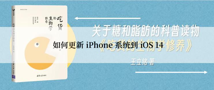  如何更新 iPhone 系统到 iOS 14