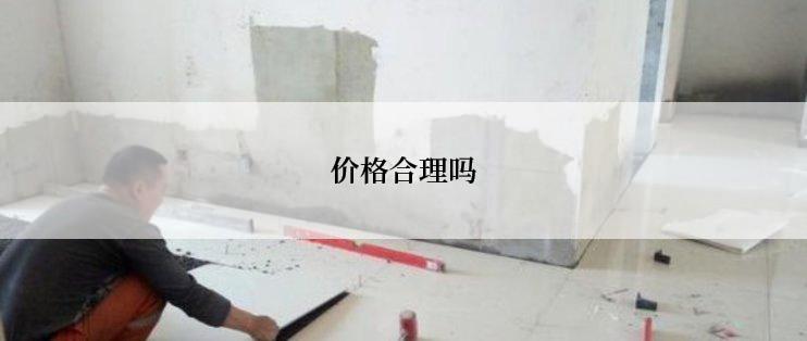 价格合理吗