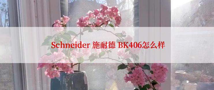  Schneider 施耐德 BK406怎么样