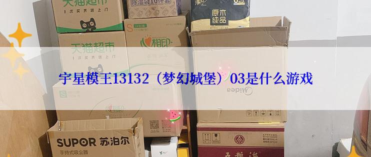 宇星模王13132（梦幻城堡）03是什么游戏