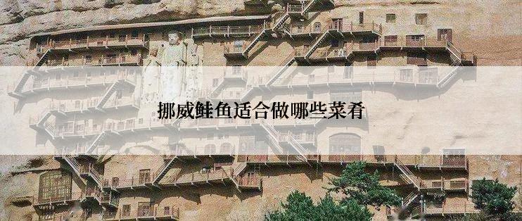 挪威鲑鱼适合做哪些菜肴