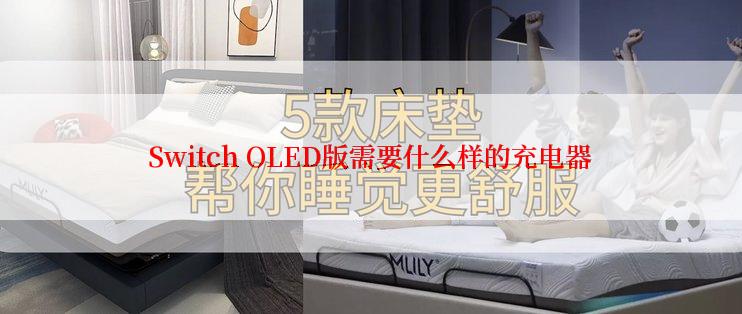 Switch OLED版需要什么样的充电器