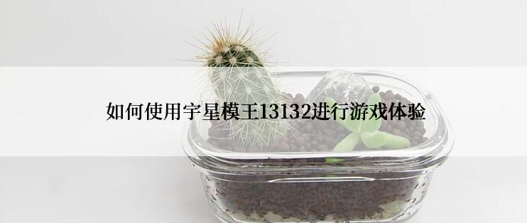  如何使用宇星模王13132进行游戏体验