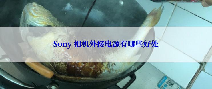 Sony 相机外接电源有哪些好处