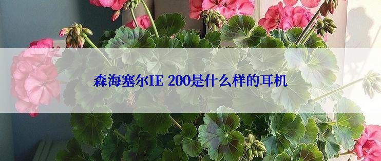 森海塞尔IE 200是什么样的耳机