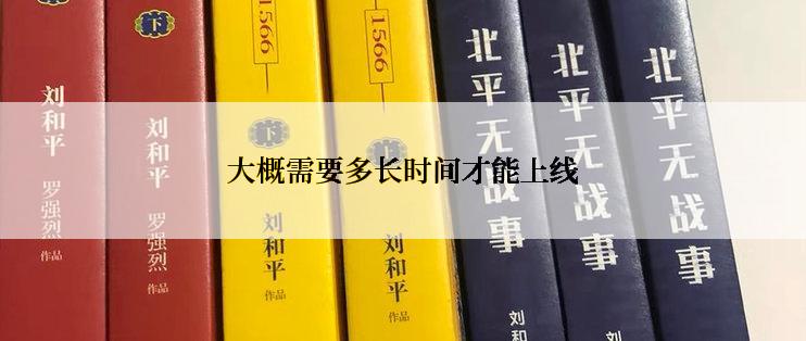 大概需要多长时间才能上线