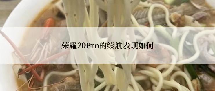 荣耀20Pro的续航表现如何