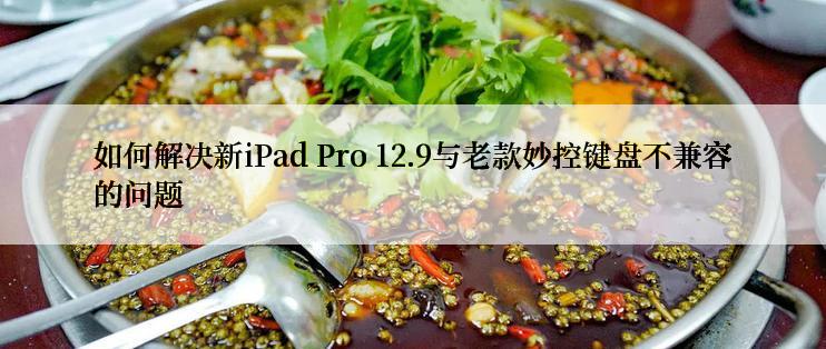 如何解决新iPad Pro 12.9与老款妙控键盘不兼容的问题