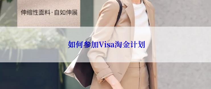  如何参加Visa淘金计划