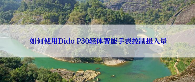  如何使用Dido P30轻体智能手表控制摄入量