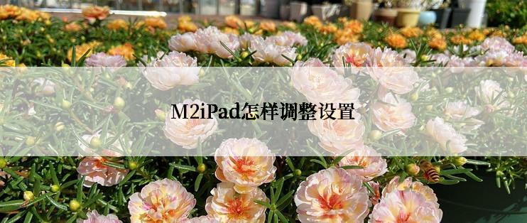 M2iPad怎样调整设置