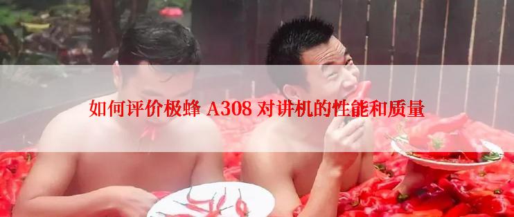 如何评价极蜂 A308 对讲机的性能和质量