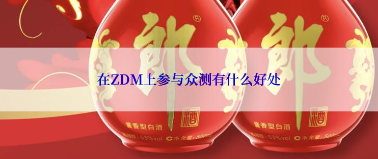 在ZDM上参与众测有什么好处