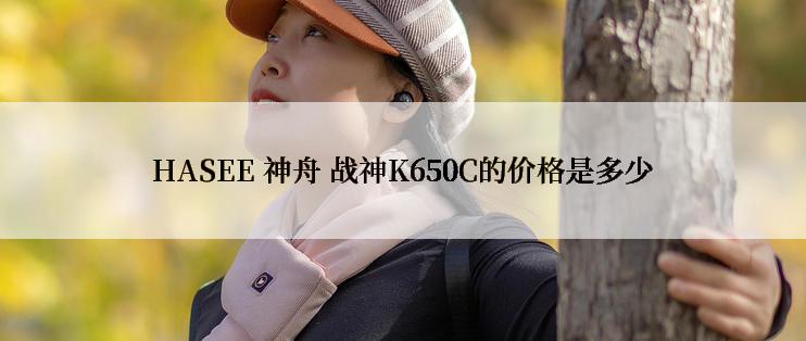 HASEE 神舟 战神K650C的价格是多少