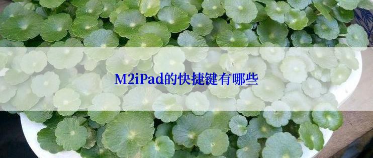 M2iPad的快捷键有哪些