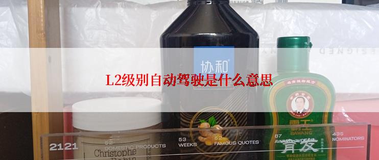 L2级别自动驾驶是什么意思