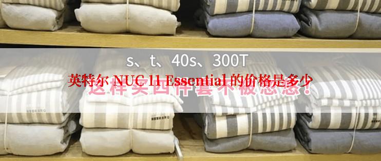 英特尔 NUC 11 Essential 的价格是多少