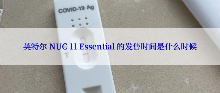 英特尔 NUC 11 Essential 的发售时间是什么时候