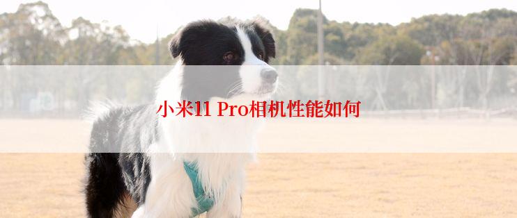 小米11 Pro相机性能如何