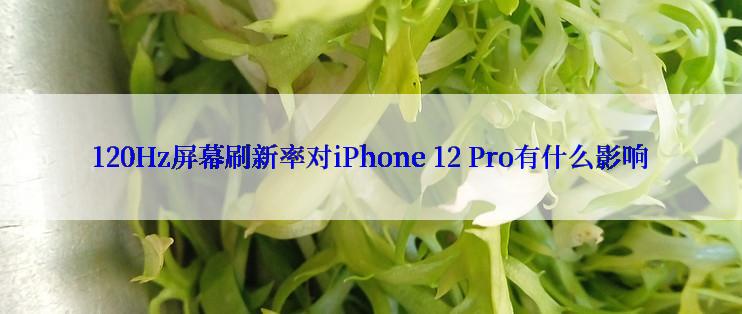 120Hz屏幕刷新率对iPhone 12 Pro有什么影响