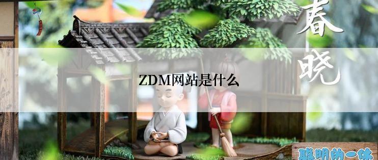 ZDM网站是什么