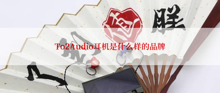 To2Audio耳机是什么样的品牌