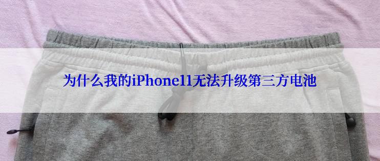 为什么我的iPhone11无法升级第三方电池