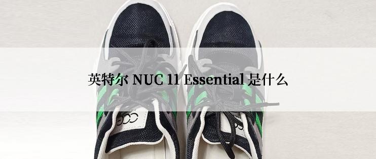 英特尔 NUC 11 Essential 是什么