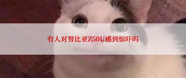 有人对努比亚Z50U感到惊吓吗